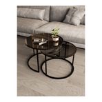Dekoport Milas Orta Sehpa Füme 60 x 47 cm Siyah Metal - Temperli Füme Cam
