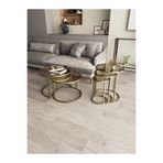 Dekoport Milas Orta Ve Zigon Sehpa Seti (Ø60-47) Mat Gold Metal, Temperli Bronz Cam