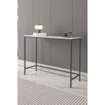 Dekopratik Canvas Meşe Metal Dresuar - Siyah