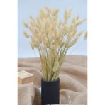 Dekora Çiçek Kurutulmuş Pamuk Otu (Tavşan Kuyruğu) Naturel - 40 Dal