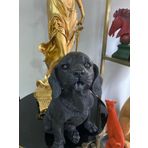 Dekorarif köpek Heykeli Biblo