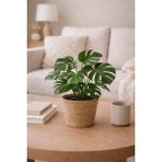 Dekorasyaa Yuvarlak Hasır Saksı Seti - Korumalı - Ev Dekorasyon - 19X15CM