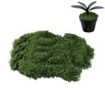 Dekorasyon için yapay yosun, sahte dekoratif yosun, antiseptik yosun, akvaryum duvar dekorasyonu için yosun dekorasyonu, duvar, çim, bonsai (koyu yeşil, 50 g)