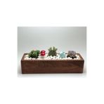 Dekoratif Ahşap Ceviz Renk Kutu Sukulent Ve Kaktüs Saksı 40x10x8 Koyu Renk 689835124152