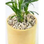 Dekoratif Dolomit Çakıl Taşı, 1-3 Cm, 1 Kg