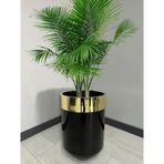 Dekoratif Gold Darbuka 60 cm Parlak Siyah Saksı