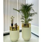 Dekoratif Gold Darbuka 70 cm + Sehpa 60 cm İkili Set Beyaz Saksı