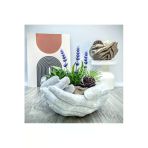 Dekoratif Gri Mermer Renkli Avuç Saksı 12Cm