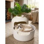 Dekoratif Kedi Evi Ve Kedi Yatağı
