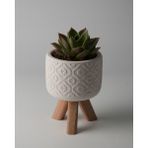 Dekoratif Küçük Beton Saksı – Ayaklı / Ayaksız – Sukulent & Mini Kaktüs Saksısı – Renk ve Desen Seçenekli - Ayaklı Çiçek - Bej