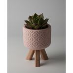 Dekoratif Küçük Beton Saksı – Ayaklı / Ayaksız – Sukulent & Mini Kaktüs Saksısı – Renk ve Desen Seçenekli - Ayaklı Çiçek - Pembe