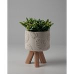 Dekoratif Küçük Beton Saksı – Ayaklı / Ayaksız – Sukulent & Mini Kaktüs Saksısı – Renk ve Desen Seçenekli - Ayaklı Monstera - Beyaz
