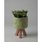 Dekoratif Küçük Beton Saksı – Ayaklı / Ayaksız – Sukulent & Mini Kaktüs Saksısı – Renk ve Desen Seçenekli - Ayaklı Monstera - Yeşil