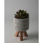 Dekoratif Küçük Beton Saksı – Ayaklı / Ayaksız – Sukulent & Mini Kaktüs Saksısı – Renk ve Desen Seçenekli - Ayaklı Wavy - Gri