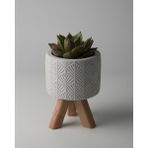 Dekoratif Küçük Beton Saksı – Ayaklı / Ayaksız – Sukulent & Mini Kaktüs Saksısı – Renk ve Desen Seçenekli - Ayaklı Yaprak - Gri