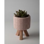 Dekoratif Küçük Beton Saksı – Ayaklı / Ayaksız – Sukulent & Mini Kaktüs Saksısı – Renk ve Desen Seçenekli - Ayaklı Yaprak - Pembe