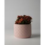 Dekoratif Küçük Beton Saksı – Ayaklı / Ayaksız – Sukulent & Mini Kaktüs Saksısı – Renk ve Desen Seçenekli - Ayaksız Balık Pulu - Pembe
