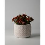 Dekoratif Küçük Beton Saksı – Ayaklı / Ayaksız – Sukulent & Mini Kaktüs Saksısı – Renk ve Desen Seçenekli - Ayaksız Çiçek - Bej