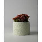 Dekoratif Küçük Beton Saksı – Ayaklı / Ayaksız – Sukulent & Mini Kaktüs Saksısı – Renk ve Desen Seçenekli - Ayaksız Karo Çizgi - Yeşil