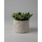 Dekoratif Küçük Beton Saksı – Ayaklı / Ayaksız – Sukulent & Mini Kaktüs Saksısı – Renk ve Desen Seçenekli - Ayaksız Monstera - Beyaz