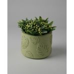 Dekoratif Küçük Beton Saksı – Ayaklı / Ayaksız – Sukulent & Mini Kaktüs Saksısı – Renk ve Desen Seçenekli - Ayaksız Monstera - Yeşil