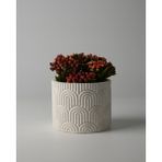 Dekoratif Küçük Beton Saksı – Ayaklı / Ayaksız – Sukulent & Mini Kaktüs Saksısı – Renk ve Desen Seçenekli - Ayaksız Wavy - Beyaz