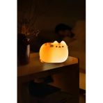 Dekoratif Led Pusheen Kedi Pl-98 Gece Lambası