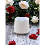 Dekoratif Minimal Silindirik Hoş Kokulu Doğal Soya Mum El Yapımı Modern ve Temiz Yanışlı Tasarım Ev ve Ofis Dekorasyonu, Medıtasyon–yoga Alanları, Romantik Ortamlar ve Özel Günler Için Zarif Hediyelik - VANİLYA-KAHVE KOKULU