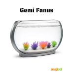 Dekoratif Şık Tasarım Gemi Fanus Akvaryum Balık Fanusu