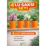 Dekoratif Turıncu Orkide Saksısı - 4 Adet Set Fiyatlı - 12 Pot Üretim Saksısına Uygun Kaliteli Ürün