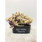 Dekoratif Yapay Bonsai Ağacı - Taşlı Ve "Best Wishes" Yazılı Gri Oval Saksıda Mini Çam Ağacı, Ev, Ofis, Çalışma Masası Hediyelik Yapay Bitki (AÇIK RENKLİ)