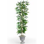 Dekoratif Yapay Yapraklı 3 Gövde Bambu Ağacı 190 cm Bambu nergiz saksı svm.1269