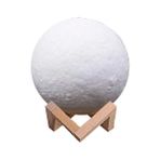 Dekoratif Yerküre 15CM Pilli Lamba ( Lisinya )