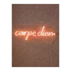 Dekoraven Carpe Diem Neon Led Tabela Dekoratif Aydınlatma, carpturun