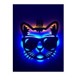 dekoraven Cool Cat Işıklı Tablo coolcat