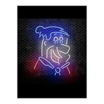 dekoraven Fred Çakmaktaş Neon Led Tabela Dekoratif Aydınlatma 50x40 cm, fredraven