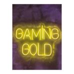 Dekoraven Gaming Gold Gamer Neon Led Tabela Dekoratif Aydınlatma(70X50Cm), gaminggold1sar