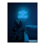 Dekoraven Now Or Never Yazılı Neon Led Tabela - 30X20, noworneverravenb