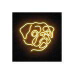 dekoraven Pug Neon Led Tabela Dekoratif Aydınlatma, pugraven