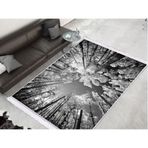 Dekoreko 1902 Desen 1 İpek Dijital Saçaklı 80x120 cm Halı