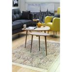 Dekoreko Kaymaz Taban Djt Salon Halısı Trend Saçaklı Iskandinav F5139 Bej F5139K1-7