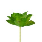 dekorsende Yapay Mini Etli Echeveria Sukulent Açık Yeşil 8 cm