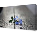 DekorSevgisi - Banktaki Küçük Çiçek Canvas Tablo - 75x50