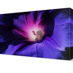 DekorSevgisi - Mor Işıklı Çiçek Canvas Tablo - 90x60