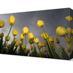 DekorSevgisi - Sarı Laleler Tablosu - 105x70