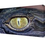 DekorSevgisi - Timsah Gözü Canvas Tablo - 120x80