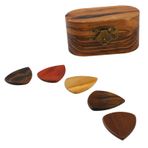 Delaman Ahşap Gitar Toplama Kutusu, Hafif Taşınabilir Kılıf, 5 Adet Gitar Seçimi, Pürüzsüz Görünüm, Hassas Tasarım, Gitar Akorları, Müzisyenler için İdeal