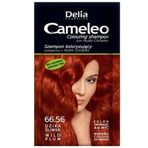 Delia Cameleo Saç Renklendirici66.56 Wild Plum 40 ml Şampuan