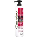 Delia Cameleo Sos Saç Tuzsuz Keratin 250 ml Şampuan