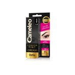 Delia Tint 1.0 Siyah Kaş Boyası